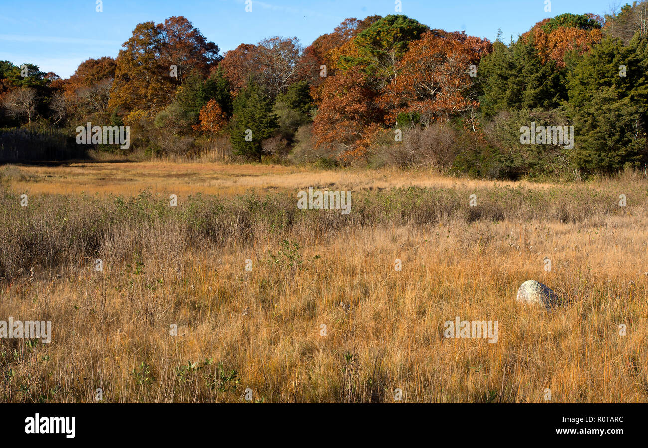 Autunno Marsh - Crowe il pascolo di Dennis, Massachusetts, STATI UNITI D'AMERICA su Cape Cod Foto Stock