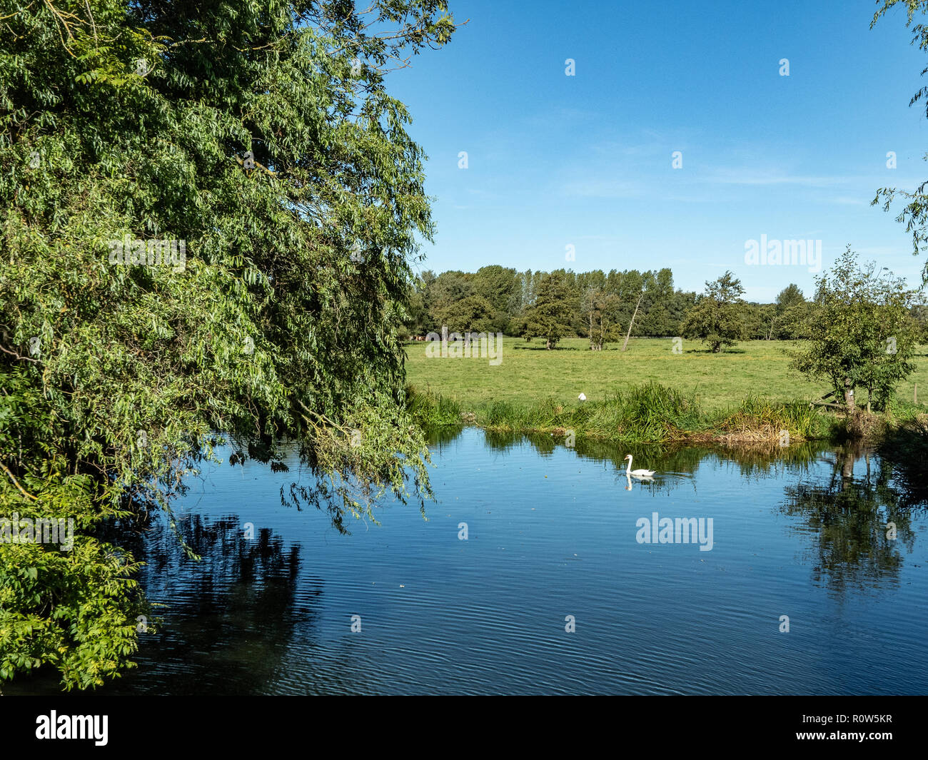 Una pacifica in scena la Waveney Valley in una luminosa giornata di sole Foto Stock