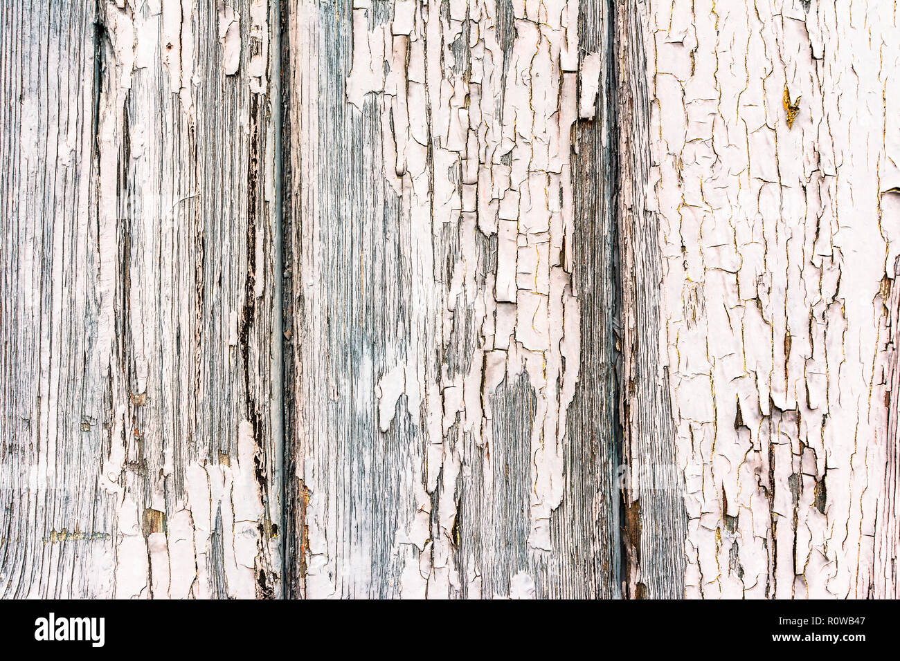 Texture in legno, legno, sfondo bianco sfald vernice, vernice peel e crepe. Foto Stock