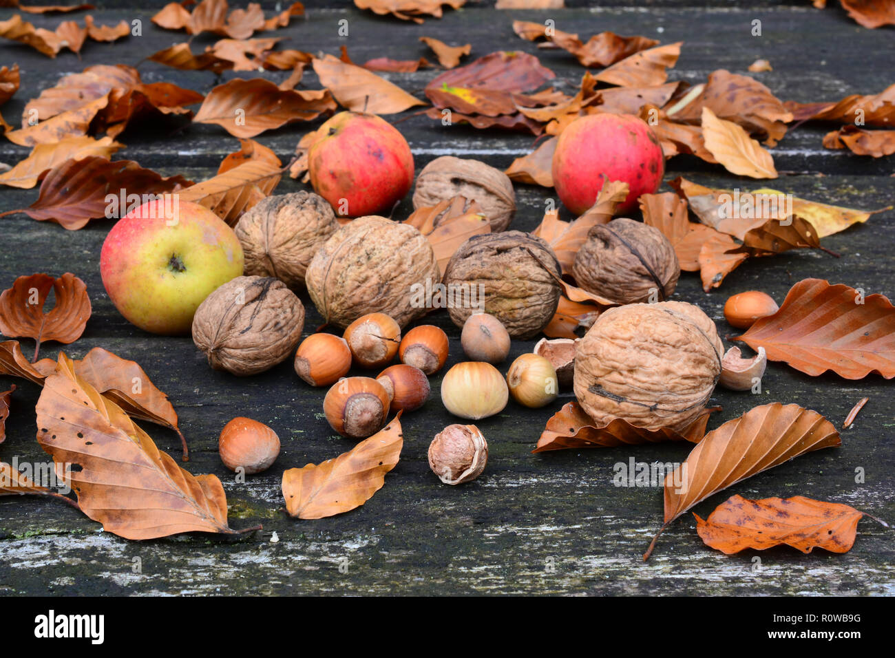 Le noci, le nocciole e le mele selvatiche miscelato con foglie di autunno sul vecchio, grunge tavolo in legno di quercia, vista laterale Foto Stock