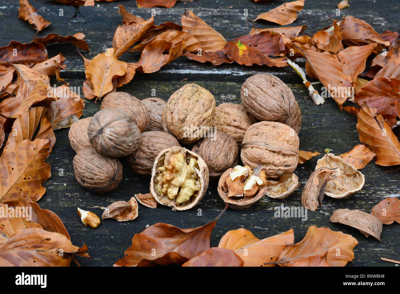 Noce sbucciata con visibile cernel e guscio rotto in primo piano e il mucchio di noci e foglie di autunno sul vecchio tavolo in legno di quercia, vista laterale Foto Stock