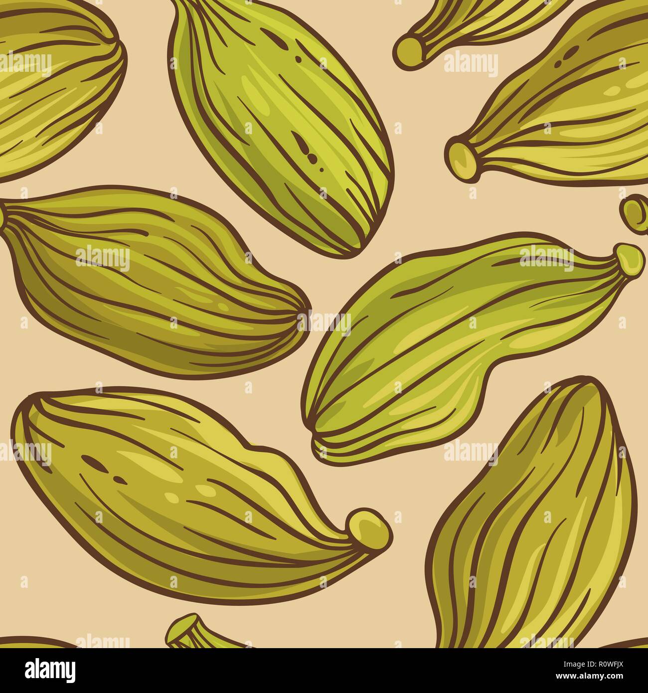 Semi di cardamomo vector pattern sul colore di sfondo Illustrazione Vettoriale