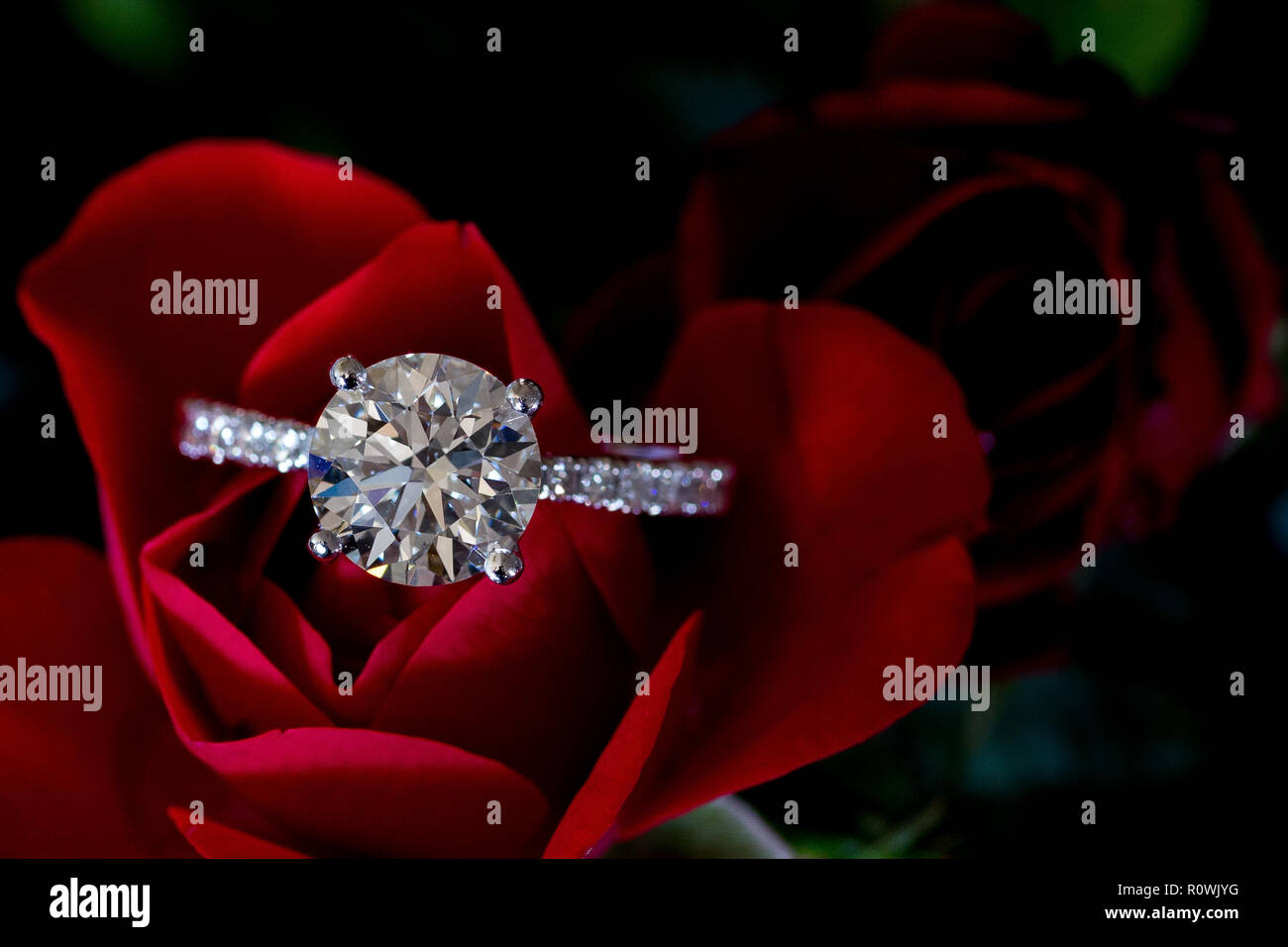 Platino Diamante anello su Red Rose (cuori & frecce) Foto Stock