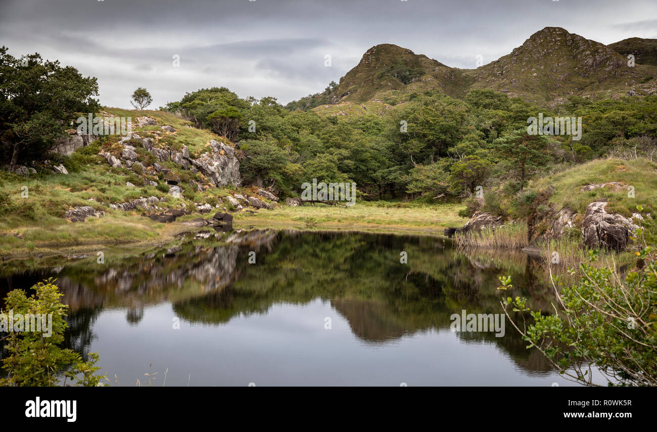 Vista sul lago intorno all'Anello di Kerry, Parco Nazionale di Killarney, Irlanda, Europa Foto Stock