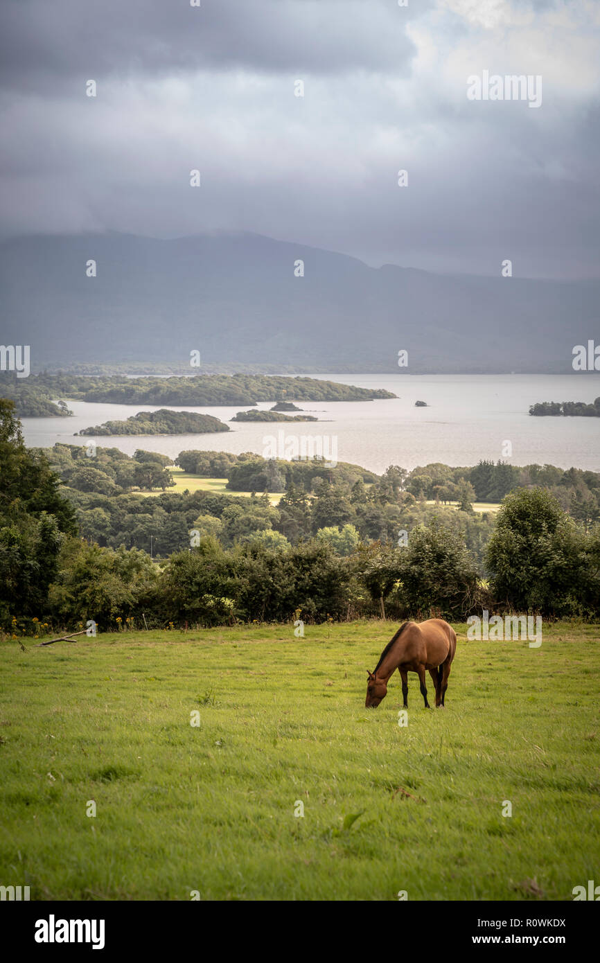 Viste del Lough Leane oltre Mahony punto, Parco Nazionale di Killarney, Irlanda, Europa Foto Stock