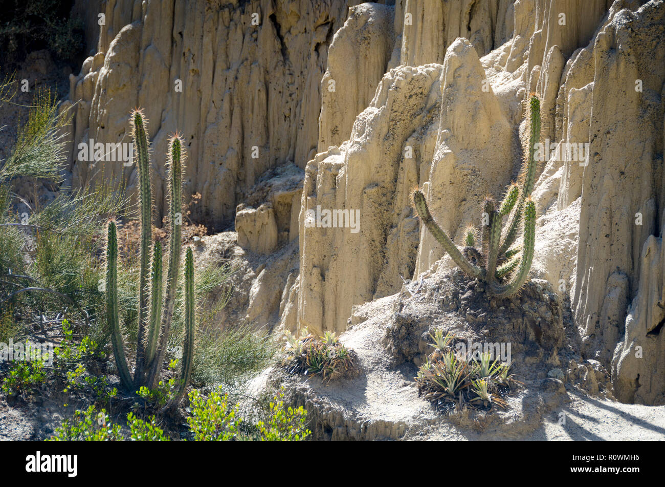 Valle de la Lune, Valle della Luna, La Paz, Bolivia Foto Stock