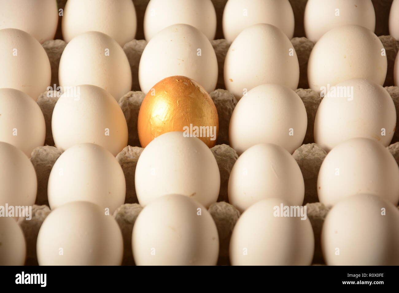 Uovo uovo animale bianco sfondi a colori da vicino la freschezza del gruppo di oggetti marcature degli animali prima colazione, estrema vicino nessuno golden egg Foto Stock