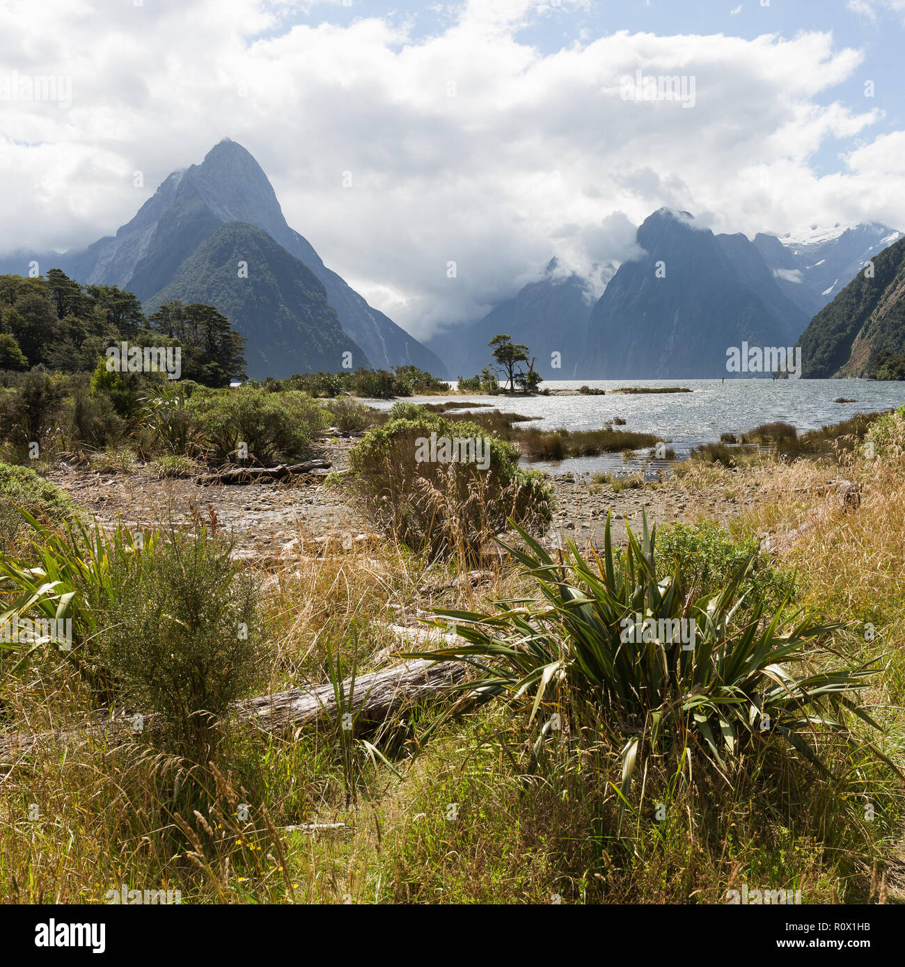 Milford Sound Foto Stock