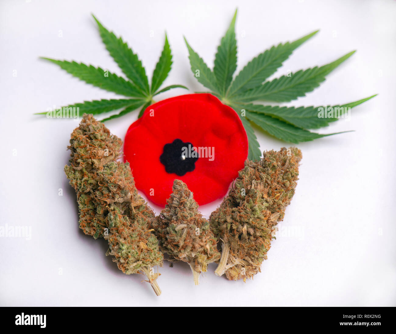 La Cannabis nugs con foglia di marijuana e papavero rosso isolato su bianco - la cannabis per i veterani concept Foto Stock