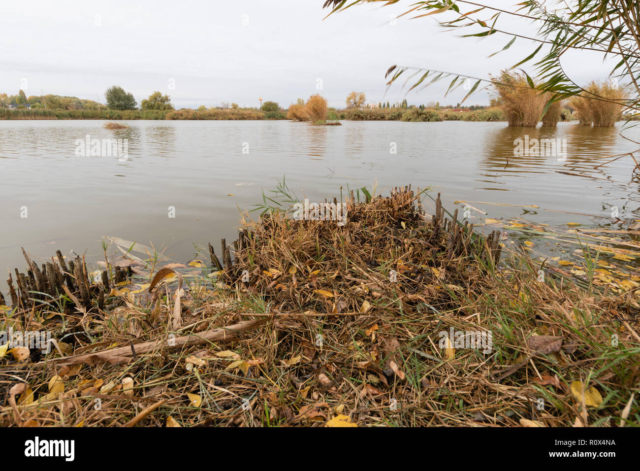 Lago di pesca in un parco in Ungheria Foto Stock