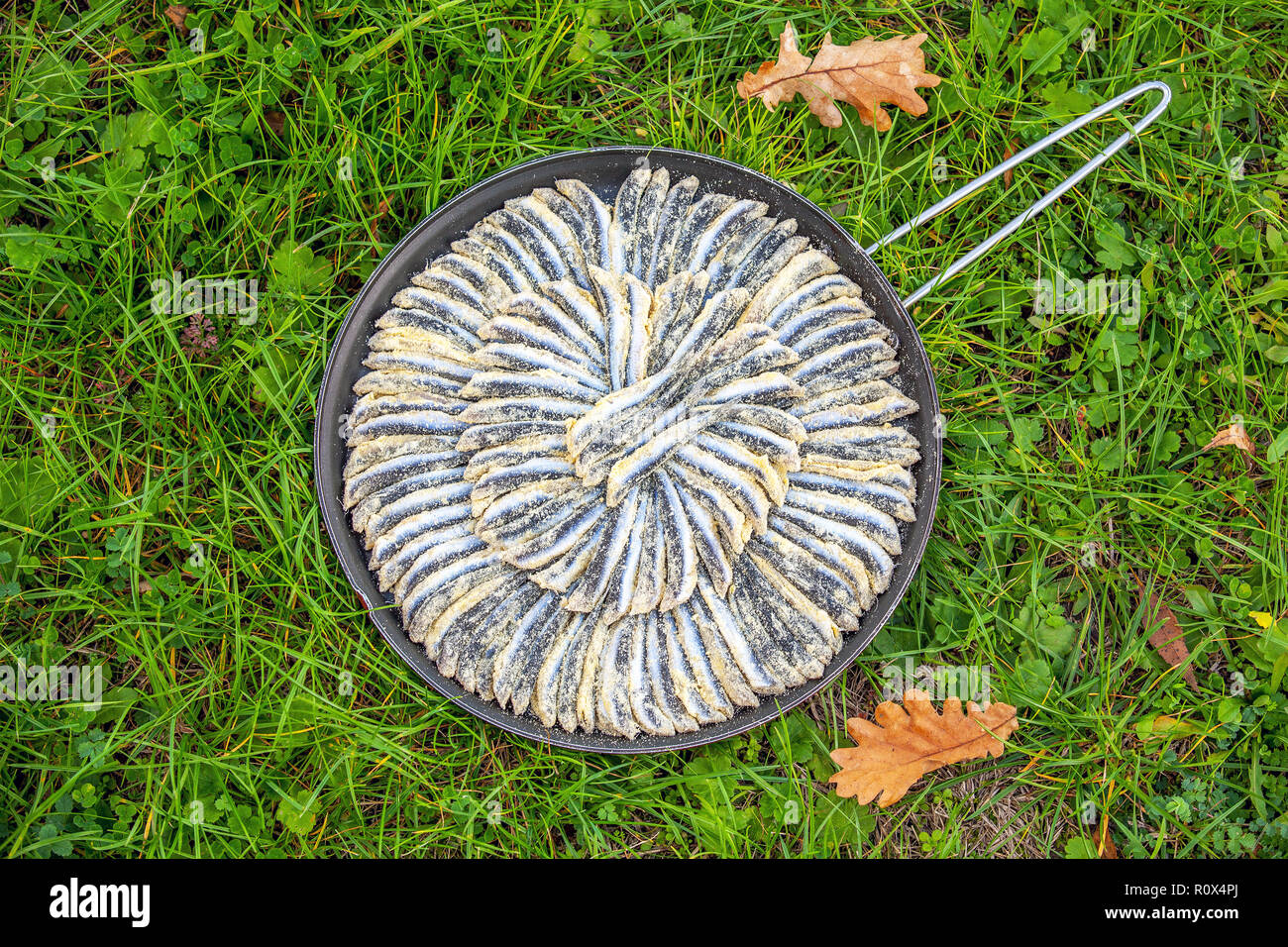 In autunno, acciuga pan sull'erba Foto Stock