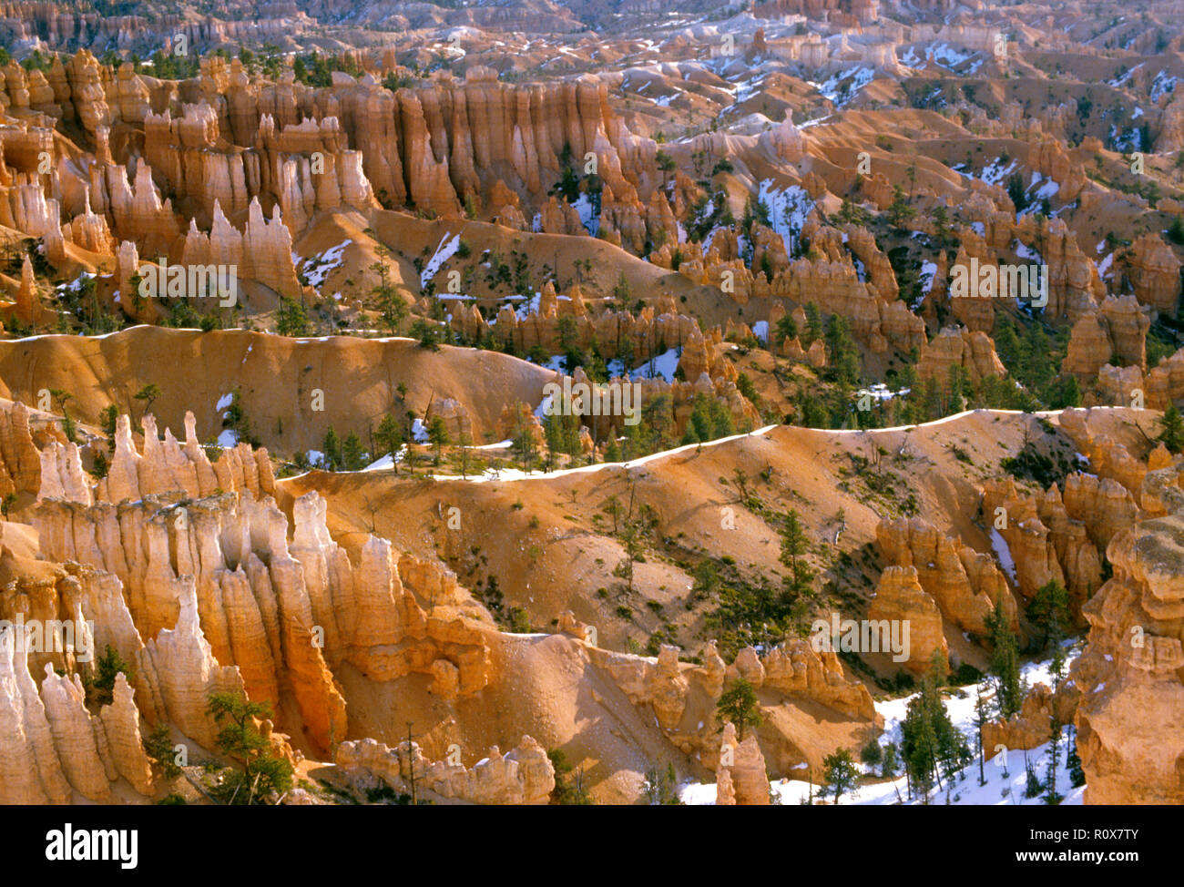 Aghi di pietra arenaria 2 Bryce Canyon, UT Foto Stock