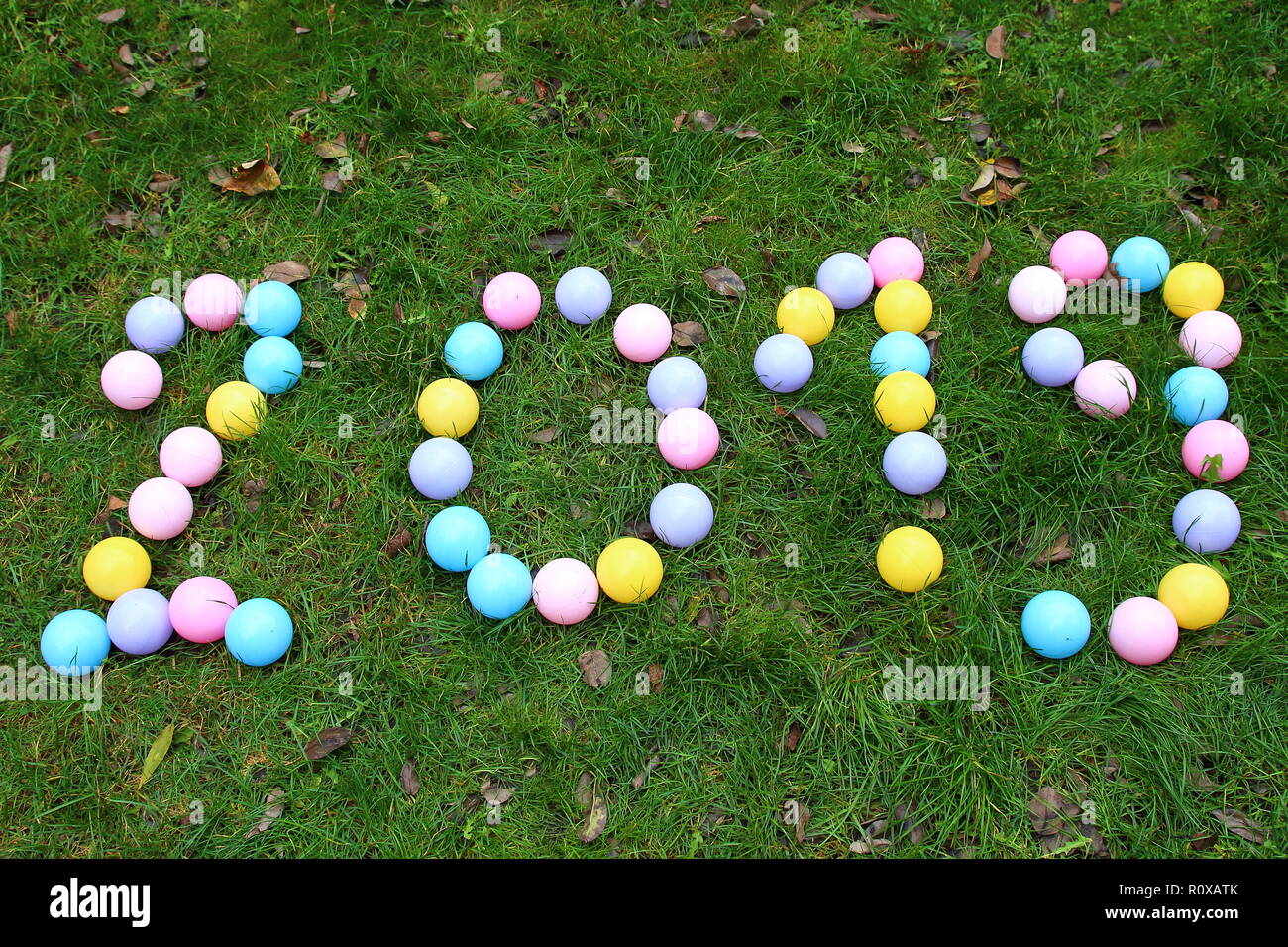 2019 Anno nuovo su erba verde con foglie di colore marrone Foto Stock