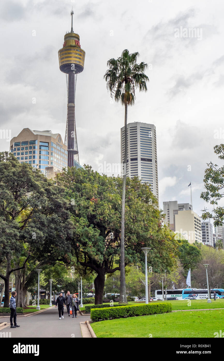 Hyde Park con lo skyline della città sullo sfondo Sydney NSW Australia. Foto Stock