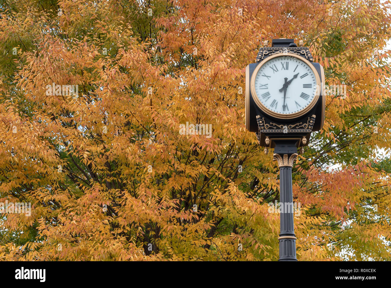 È il momento dell'Equinox d'autunno Foto Stock