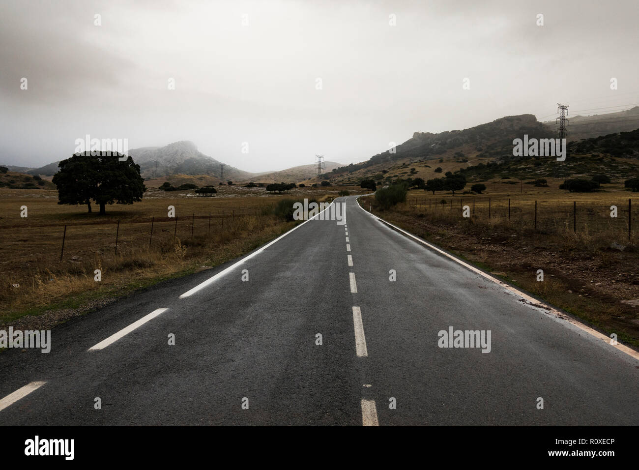 Strada asfaltata vicino a Ronda, durante le tempeste, Andalusia. Foto Stock