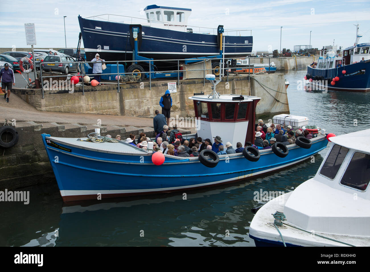 La crociera in barca per le isole farne proveniente in attraccare in porto Seahouses Seahouses, villaggio, Northumberland, Regno Unito Foto Stock