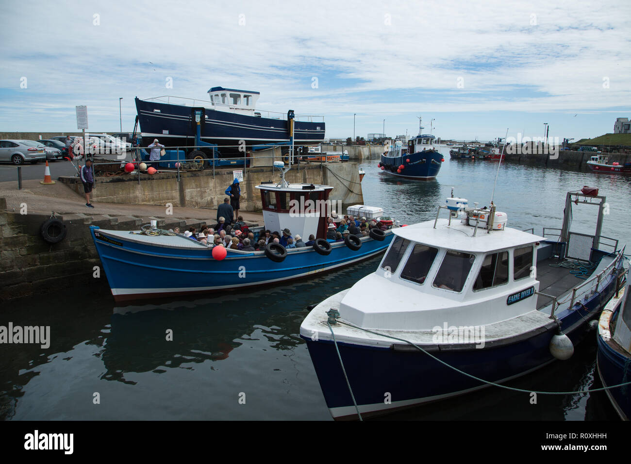 La crociera in barca per le isole farne proveniente in attraccare in porto Seahouses Seahouses, villaggio, Northumberland, Regno Unito Foto Stock