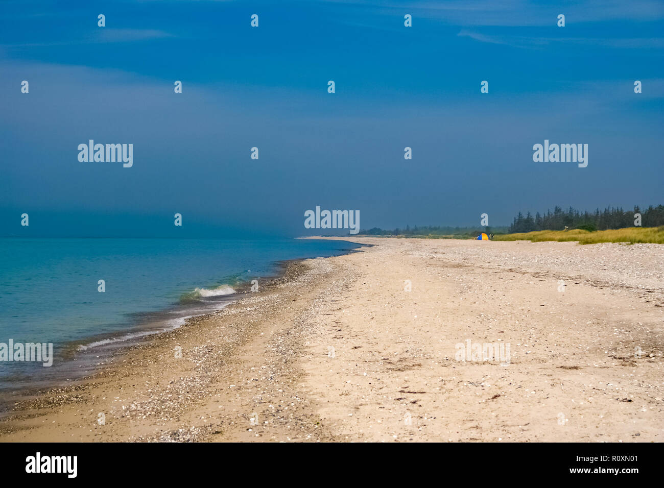 Una tenda lontano sulla spiaggia di sabbia bianca con un sacco di conchiglie di mare sul Mar Baltico sul Fehmarn island in Germania su una bella giornata di vacanza con un blu... Foto Stock