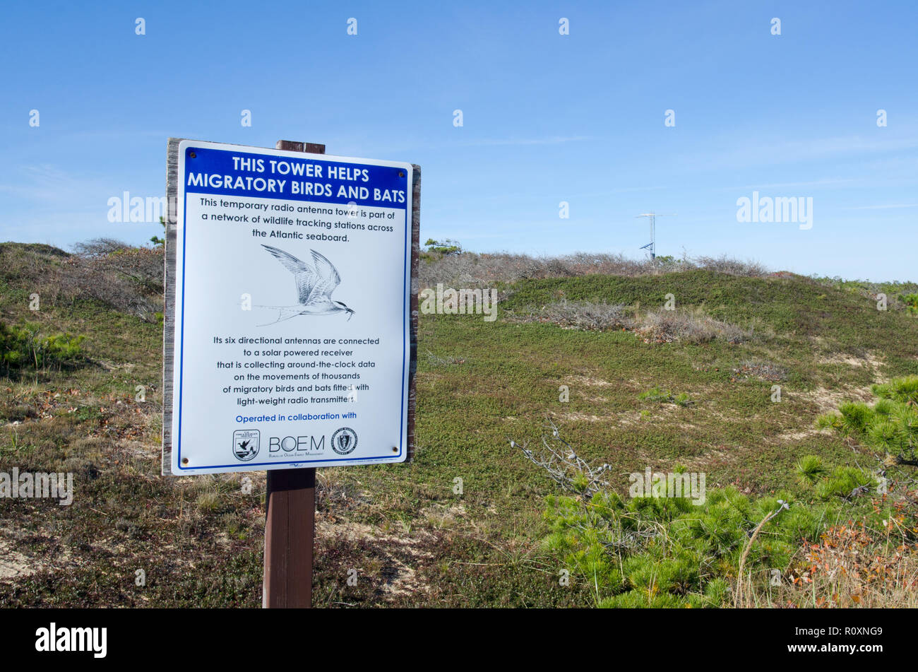 Antenna radio torre stazione di tracking segno per uccelli di tracking & pipistrelli in tutta la fascia costiera atlantica situato in Cape Cod National Seashore, Wellfleet Foto Stock