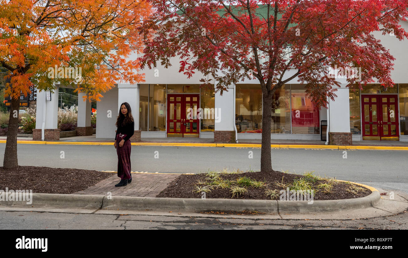 Thai woman standing sotto bellissimi alberi davanti ai negozi in autunno Foto Stock