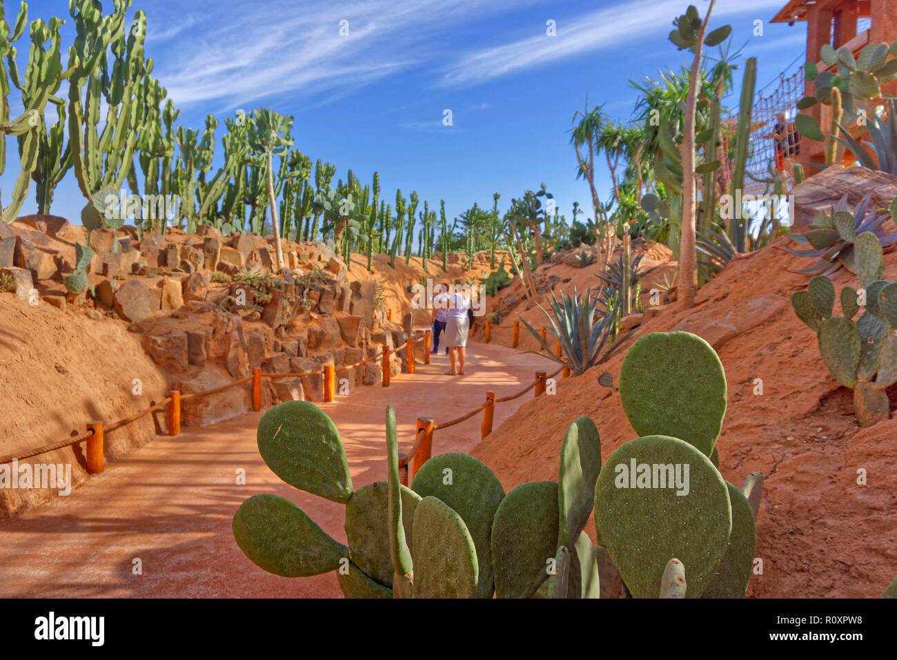 Il giardino dei Cactus caratteristica al Croco Park, Agadir, Souss-Massa provincia meridionale del Marocco, Nord Africa Occidentale. Foto Stock