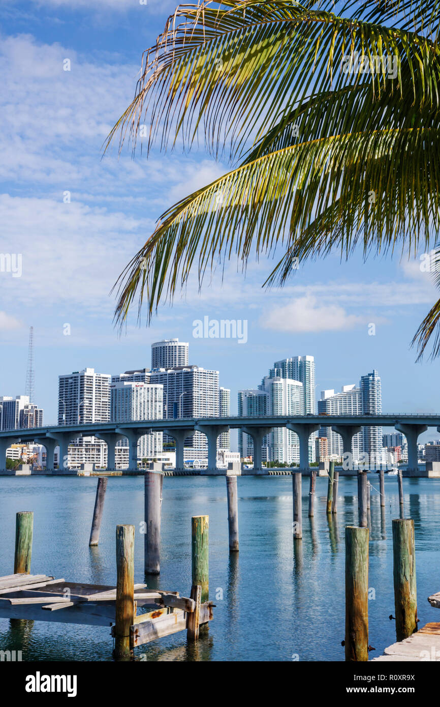 Miami Florida, Watson Island, Biscayne Bay, MacArthur Causeway, palme, ponte, skyline della città, edifici, skyline della città, condomini, alloggi, alti grattacieli Foto Stock