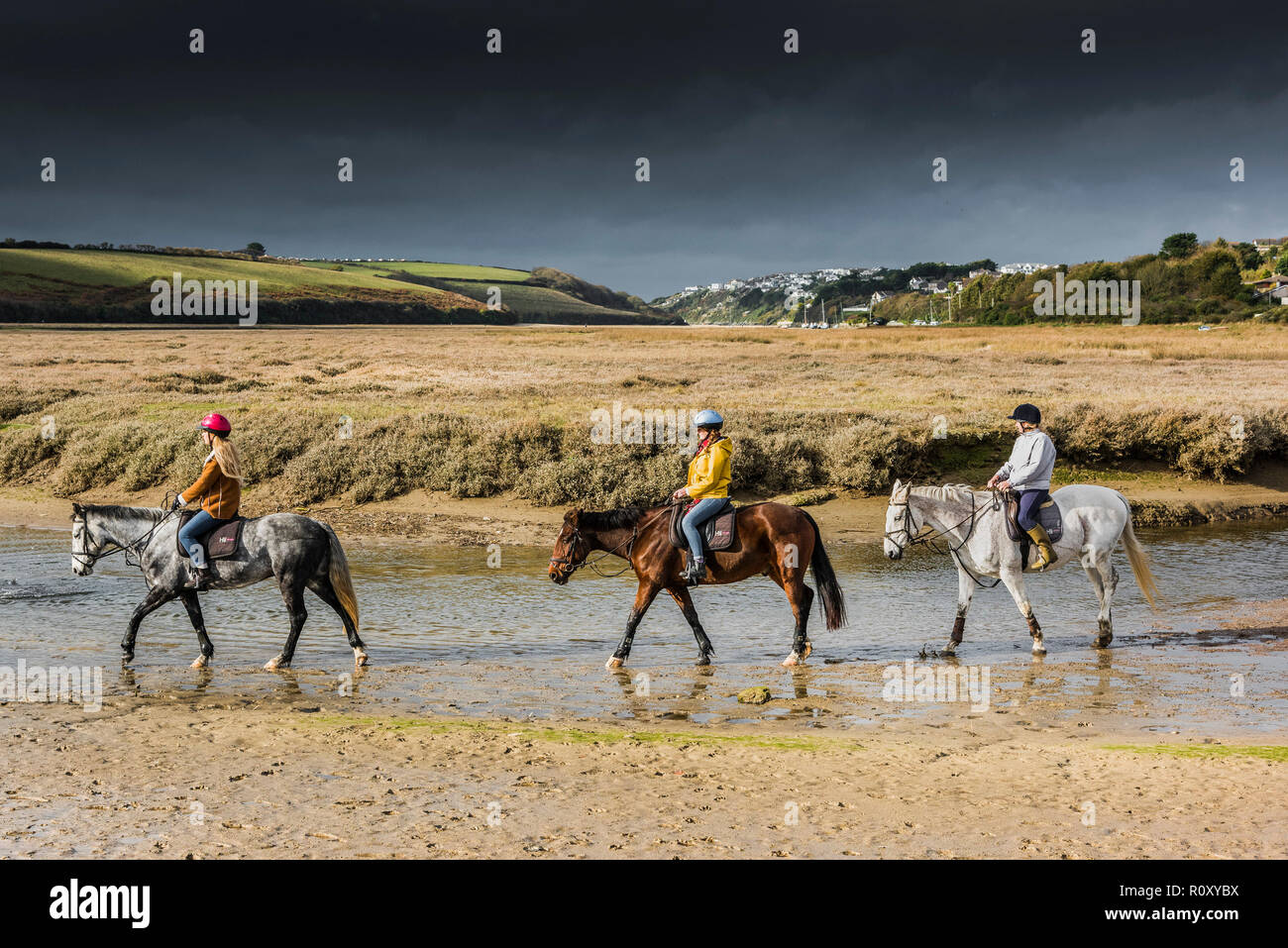 Percorsi per Pony lungo il fiume Gannel a bassa marea in Newquay Cornwall. Foto Stock