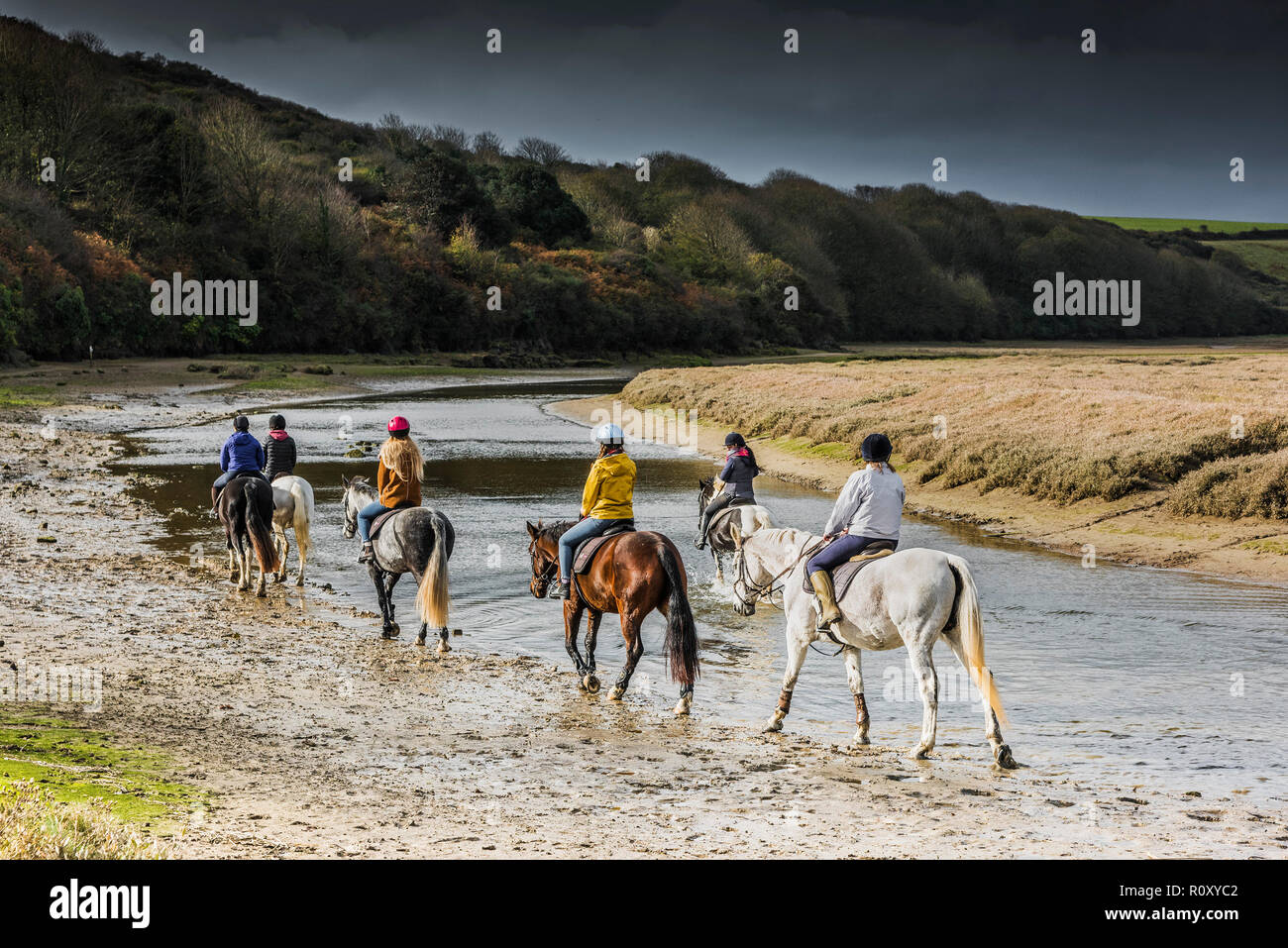 Percorsi per Pony lungo il fiume Gannel a bassa marea in Newquay Cornwall. Foto Stock