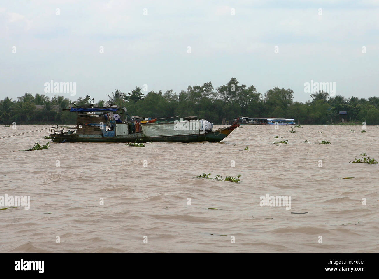 Cargo traballanti barca sul fiume Mekong (Sông Mỹ Tho branch) vicino a Mỹ Tho, Tiền Giang Provincia, Viet Nam Foto Stock