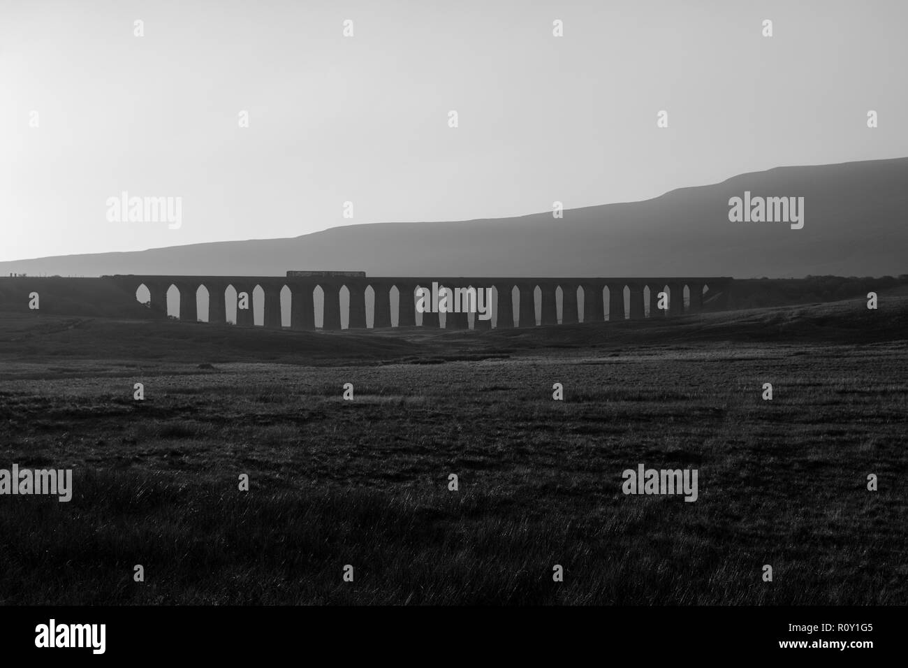 Un treno Sprinter classe 158 arriva Northern Rail che attraversa il viadotto Ribblehead sulla linea ferroviaria Settle a Carlisle, Yorkshire, Inghilterra Foto Stock