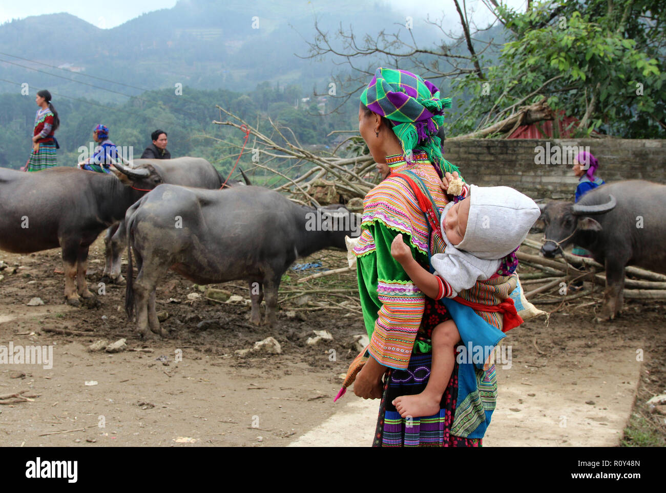 Donna Hmong porta il bambino sulla schiena attraverso la sezione di bestiame del Bac Ha mercato domenicale in Vietnam Foto Stock