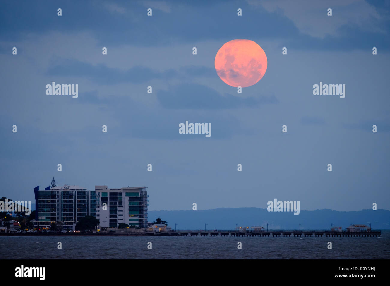 Supermoon salire oltre il punto di Woody Foto Stock