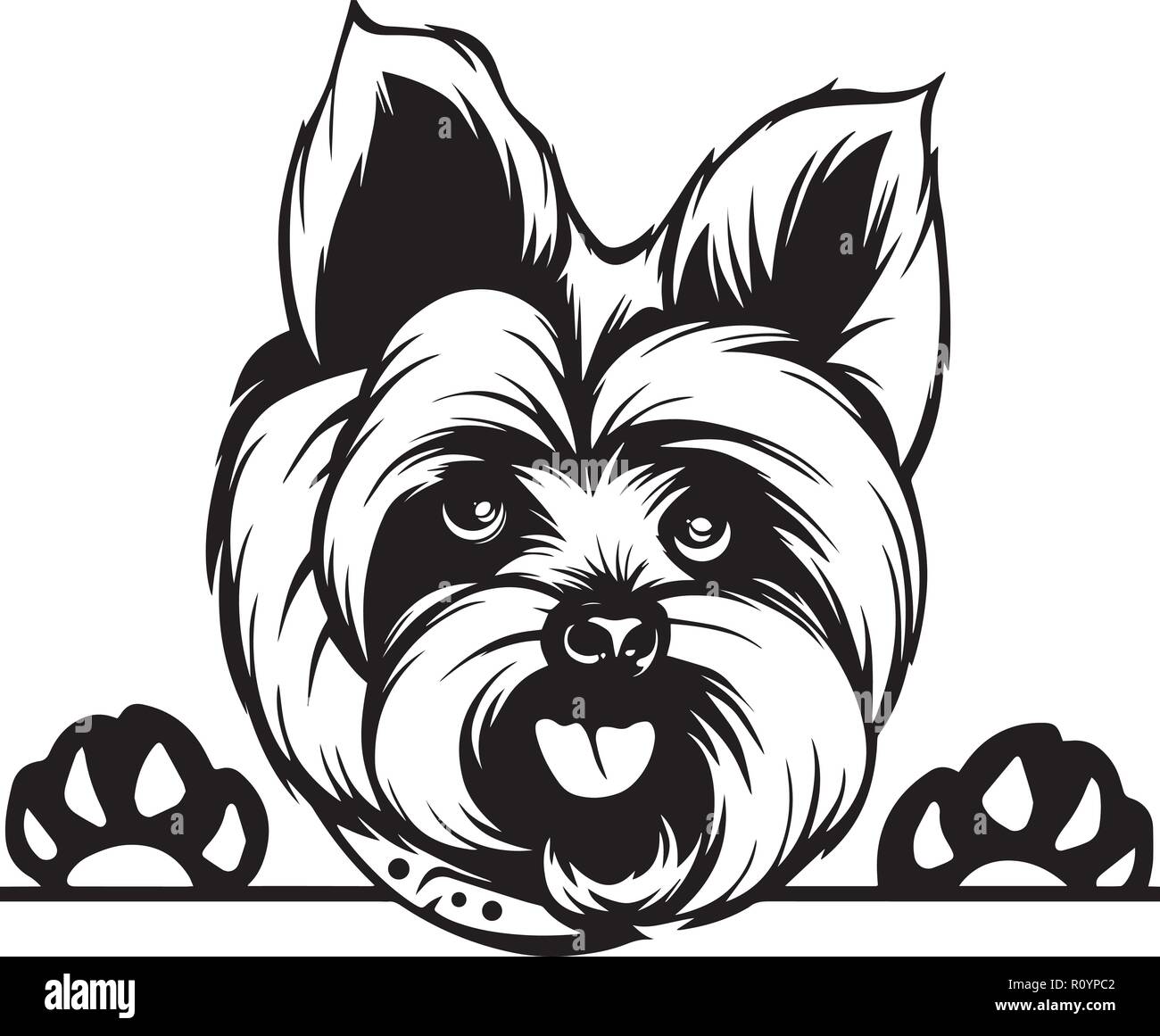 HUAGEO Orecchini Acrilico Cane Yorkshire Terrier - Pendenti Cartoon Cucciolo - Leggeri E Colorati - Gioielli Per Amanti Degli Animali - Regalo In Astuccio Velluto Rosso