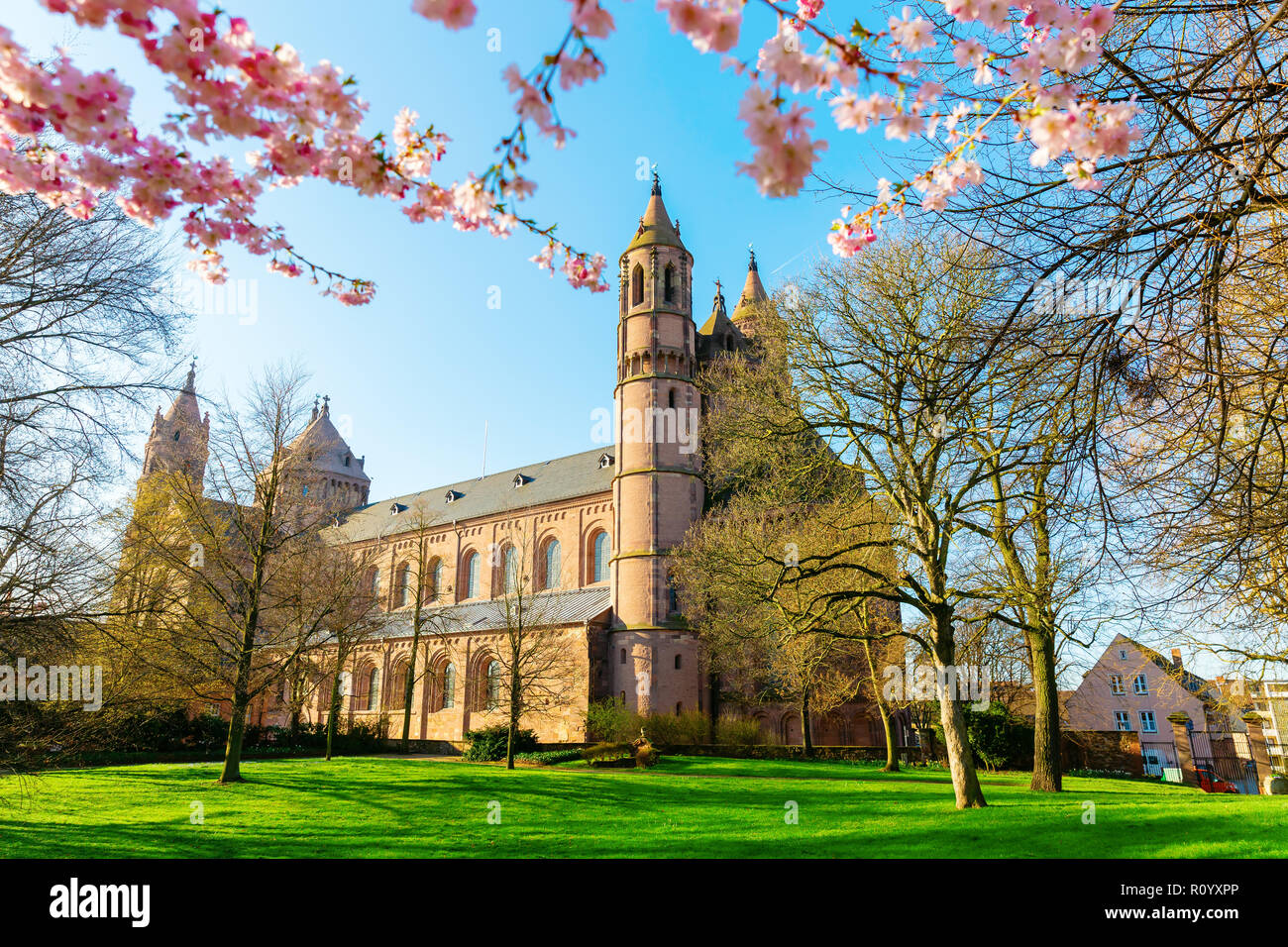 Immagine della storica cattedrale di Worms in Worms, Germania Foto Stock