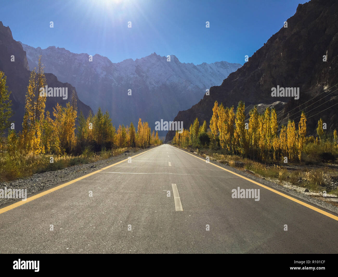 Alba con cielo blu chiaro sulla Karakoram Highway. Alberi di pioppo brillanti foglie dorate. Passu, Pakistan. Foto Stock