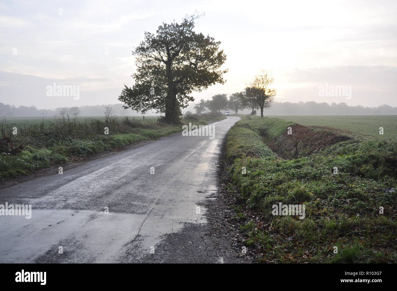 School Road, Aylmerton, tra Aylmerton e Gresham, North Norfolk, Inghilterra NORFOLK REGNO UNITO Foto Stock