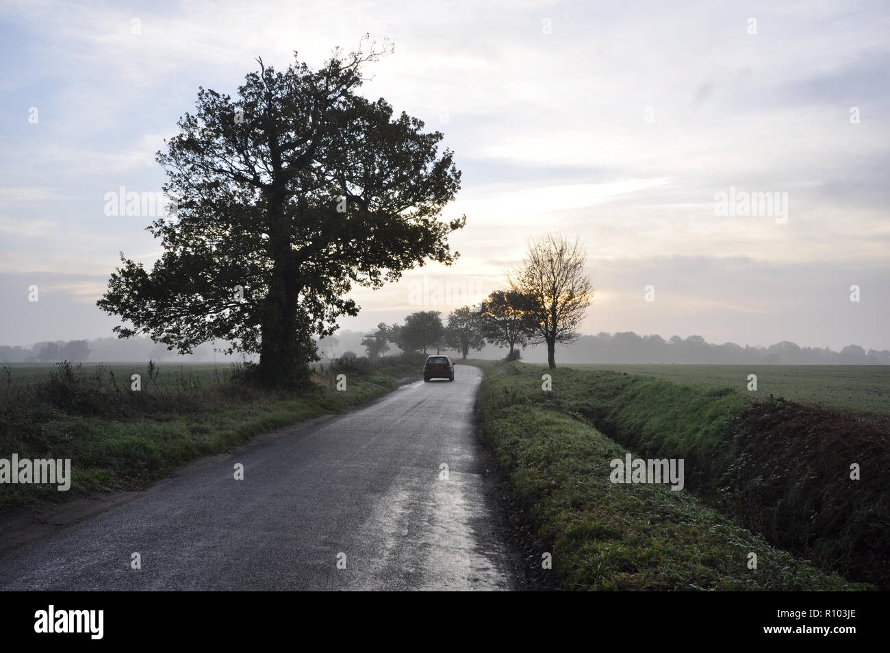 School Road, Aylmerton, tra Aylmerton e Gresham, North Norfolk, Inghilterra NORFOLK REGNO UNITO Foto Stock
