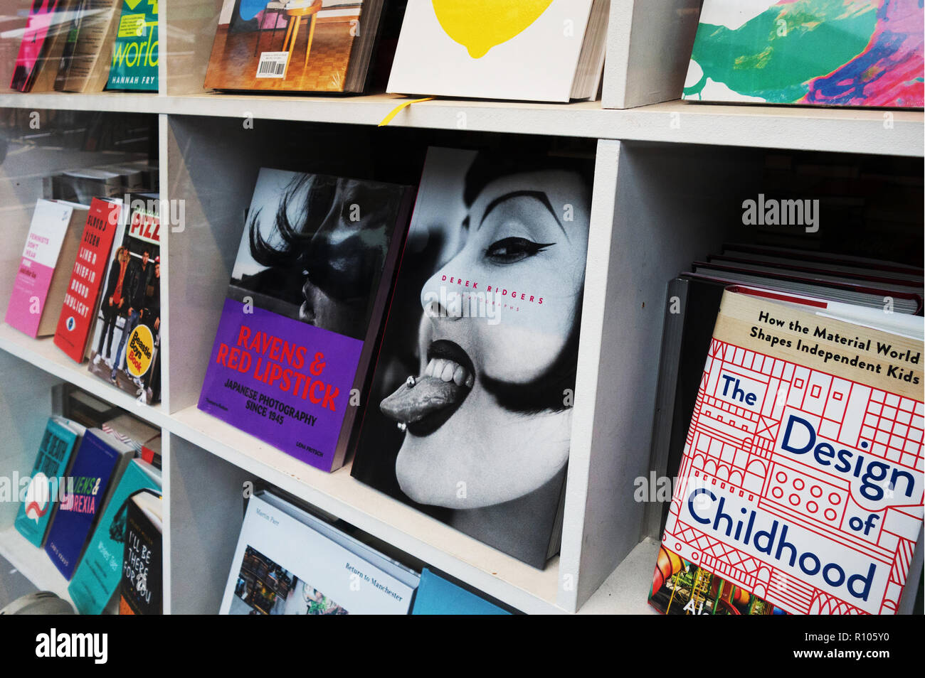 Raccolta di libri sugli scaffali in libreria finestra. Foto Stock