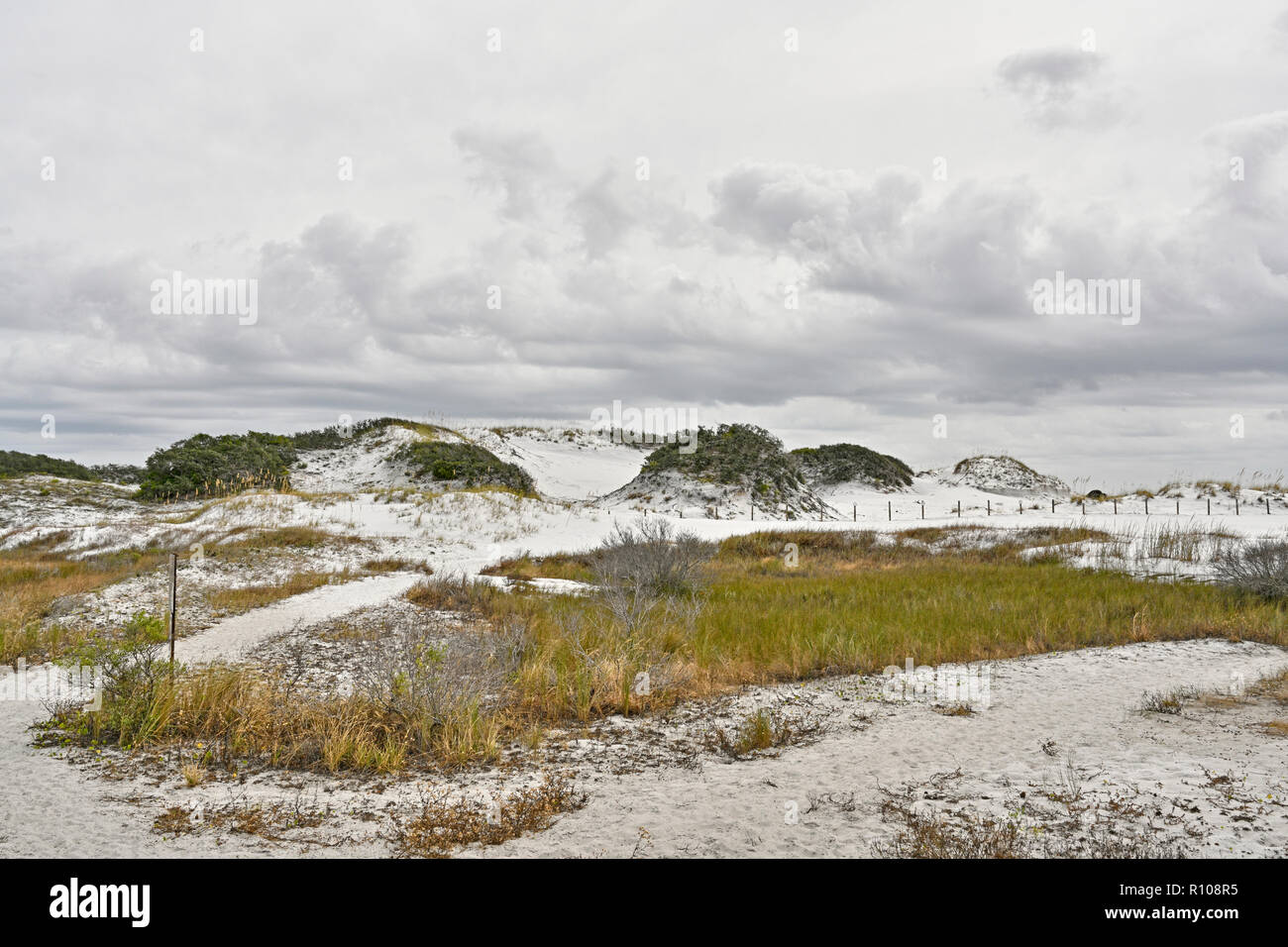 Florida coastal dune di sabbia bianca sulla costa del Golfo sulla spiaggia di Okala Isola, Florida, Stati Uniti d'America. Foto Stock