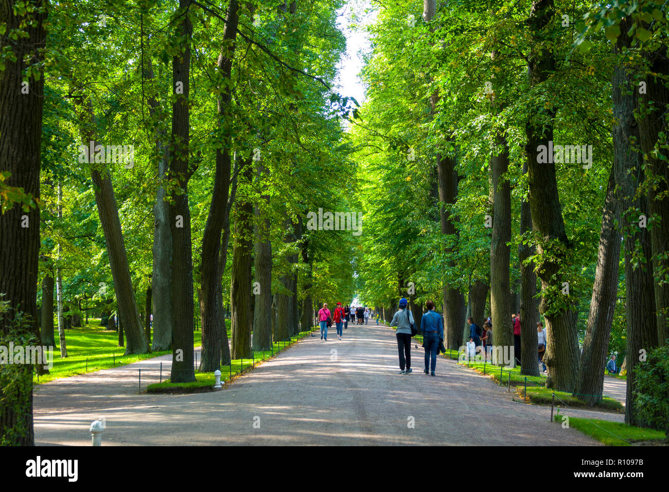 Palazzo di Caterina a Pushkin motivi gardens St San Pietroburgo, Russo Sankt Peterburg, precedentemente (1914-24) Petrograd e (1924-91) Leningrado, città Foto Stock