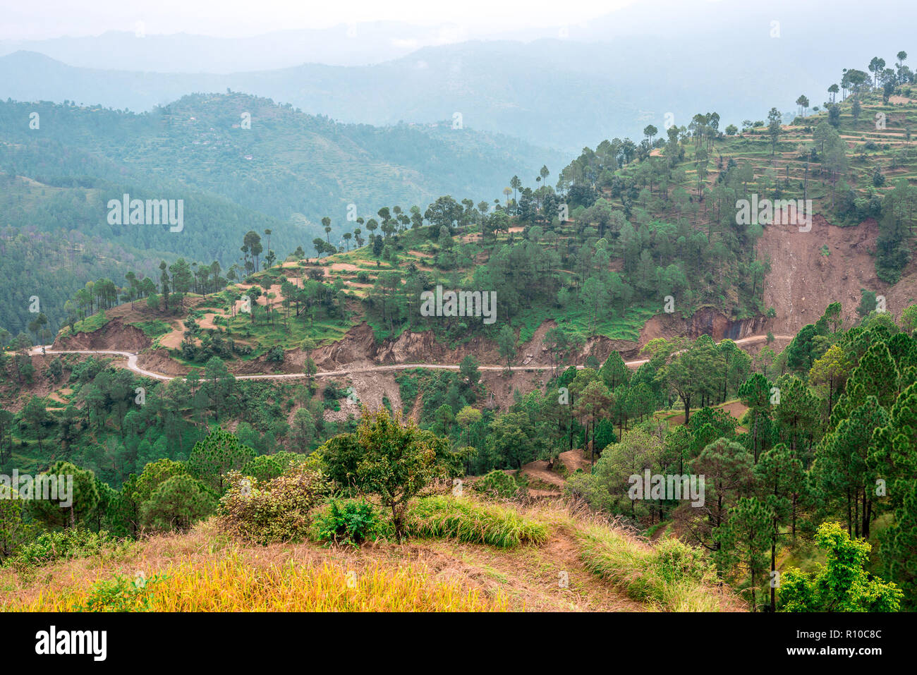 I campi di passo-passo - Paesaggio di Uttrakhand vicino Bhimtal / Nainital Foto Stock