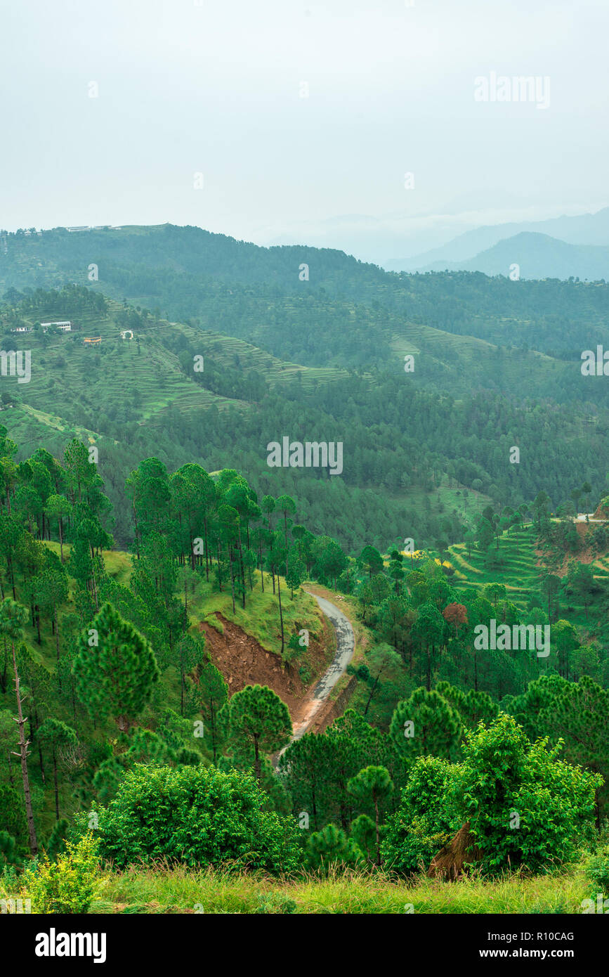 I campi di passo-passo - Paesaggio di Uttrakhand vicino Bhimtal / Nainital Foto Stock