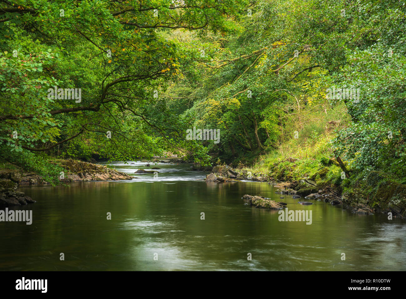 Splendida e lussureggiante verde riverbank con il fiume che scorre lentamente passato tranquillo paesaggio Foto Stock