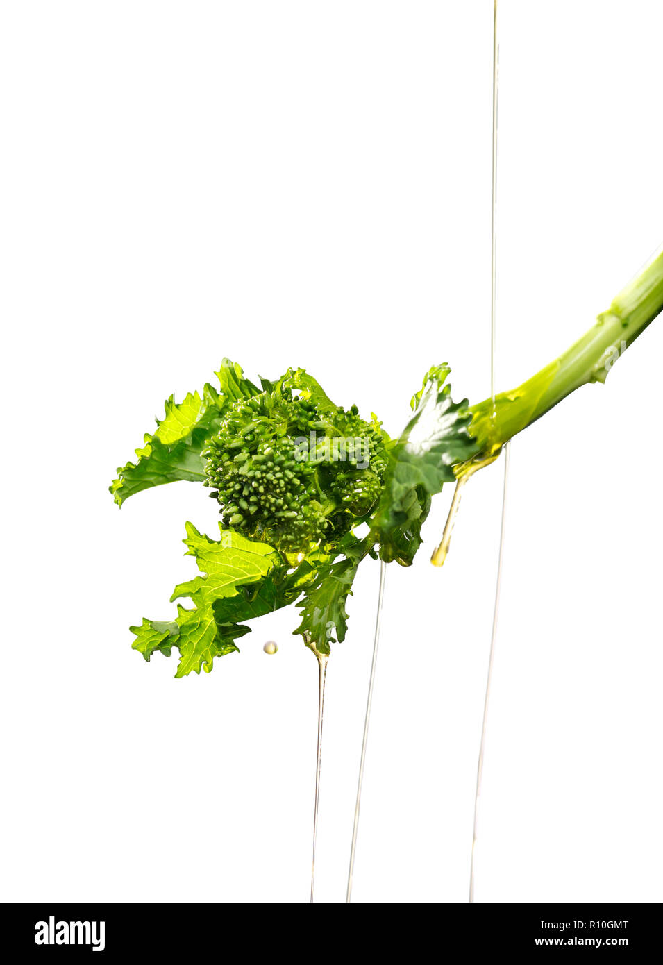 Versare olio sul gambo tenero broccoli, sfondo bianco Foto Stock