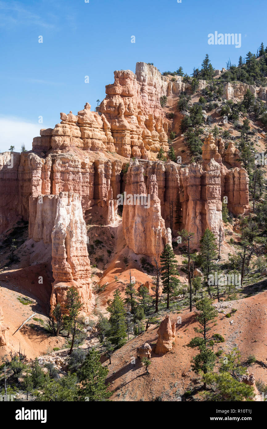 Vista delle formazioni hoodoo dal Fairyland Trail nel Parco Nazionale di Bryce Canyon, Utah, Stati Uniti d'America. Foto Stock