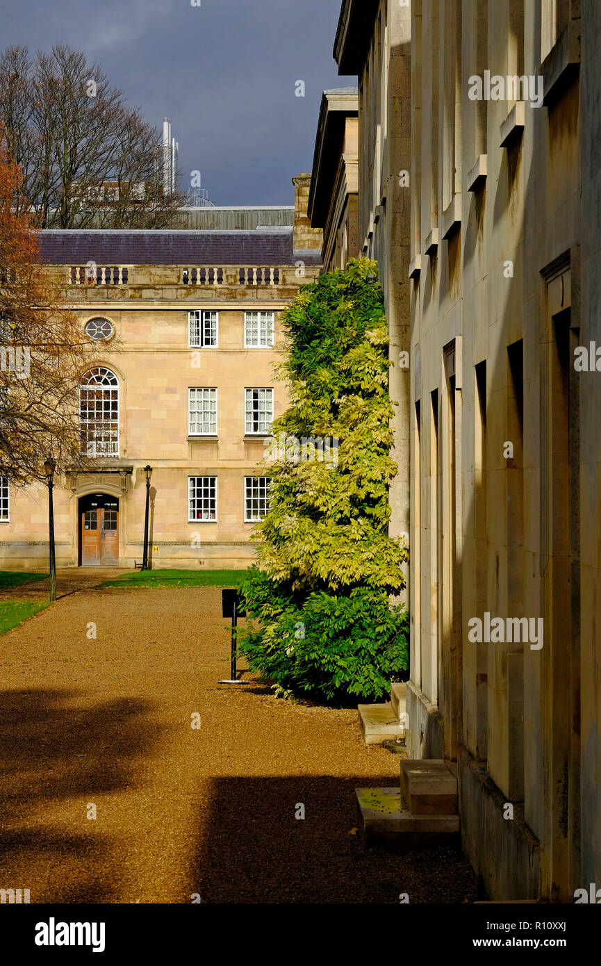 Downing college, università di Cambridge, Inghilterra Foto Stock