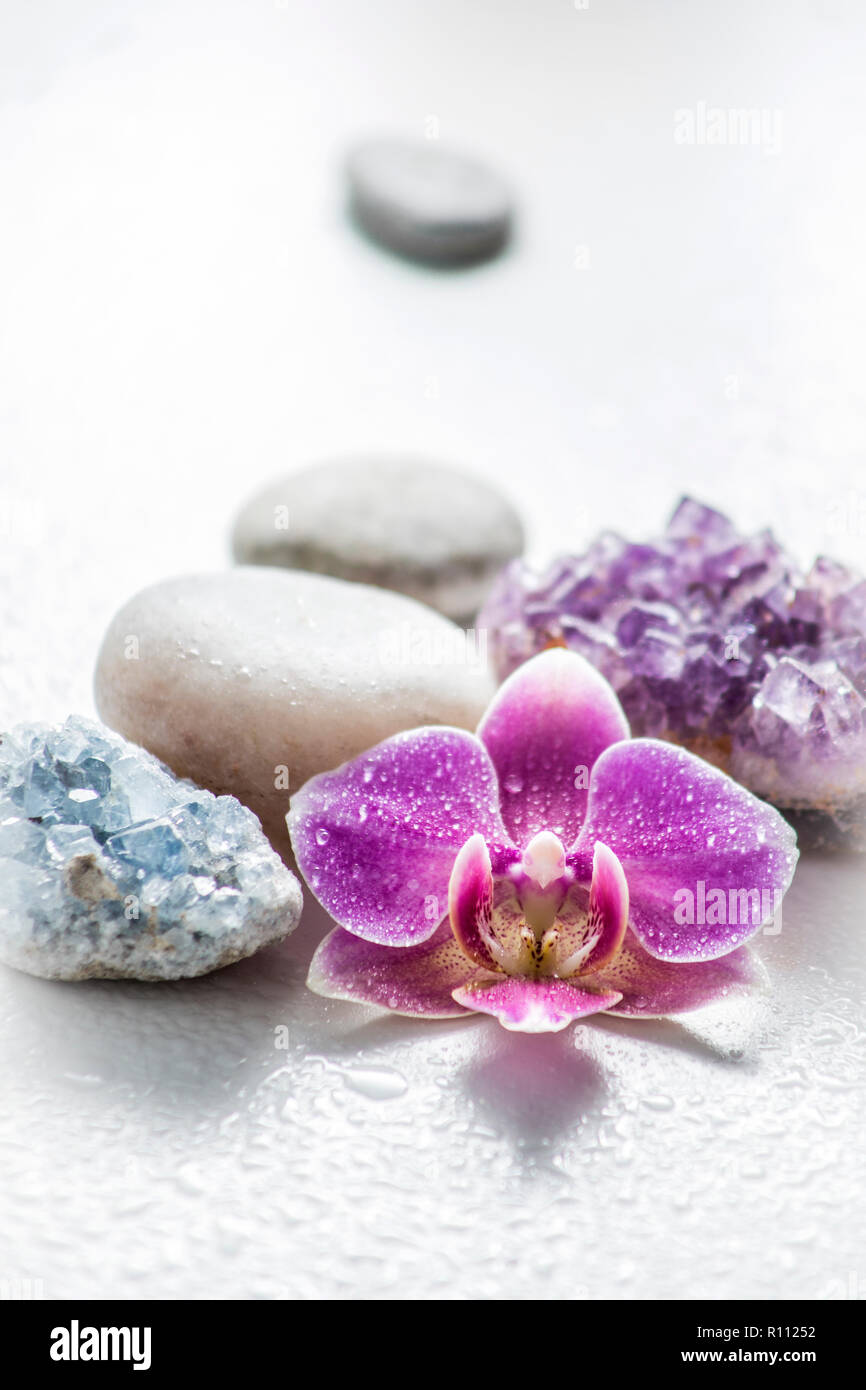 Una rosa fioritura di orchidee con pietre zen e ametista e cluster cluster blu cristallo su sfondo chiaro con gocce d'acqua. Medicina alternativa conce Foto Stock