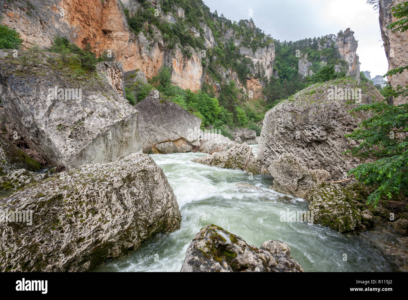 Veloce che scorre acqua di fiume Tarn round enormi massi nelle Gorges du Tarn Averyron Francia Foto Stock