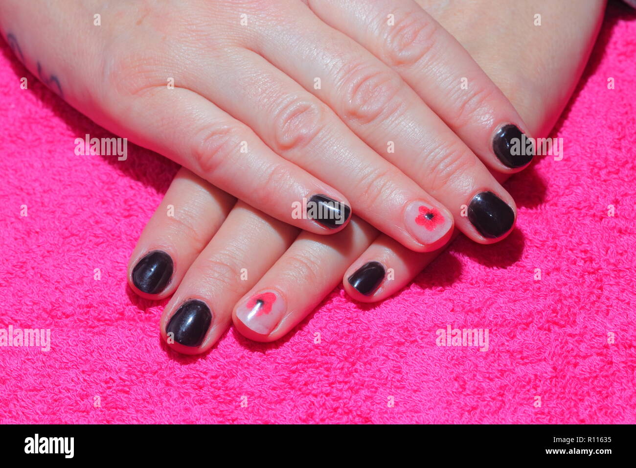 Dipinto di unghie con un ricordo di papavero applicato. Foto Stock